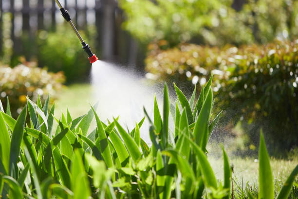 Tamper-Resistant Bait Stations for Rodents in Nicholasville