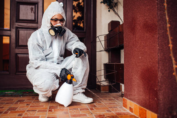 Attic and Crawl Space Rodent Treatment in Nicholasville