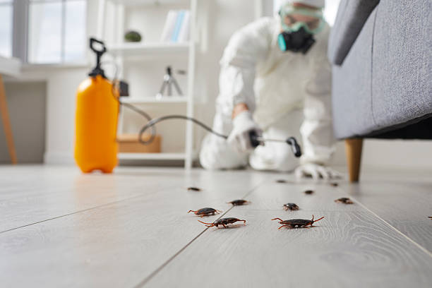 Commercial Rodent Management in Nicholasville